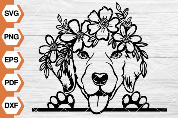 Labrador Dog SVG Files: Graphics & Illustrations for Real Publishing